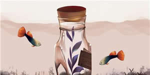 ������ѯ���õ�����